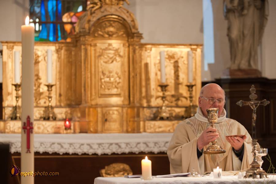 Nom de l'image : D30099535a.jpg_(c)Norbert-JUNG — Description :